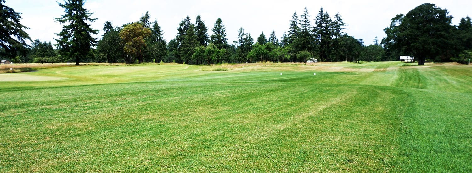 Helping Veterans Find Healing American Lake Veterans Golf Course
