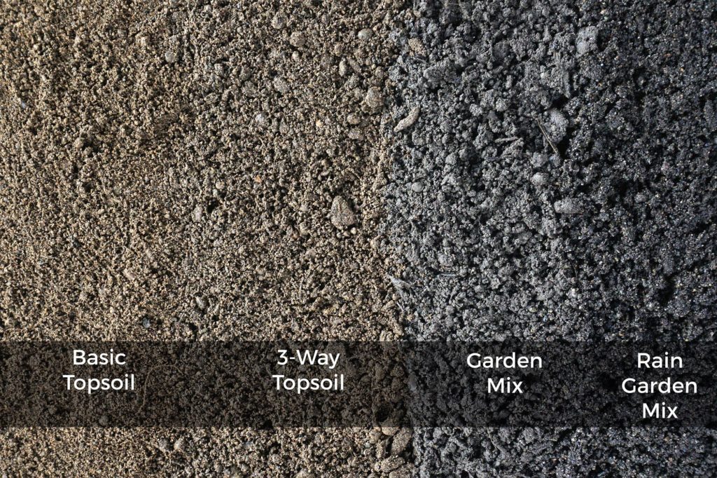 four soils compared side by side