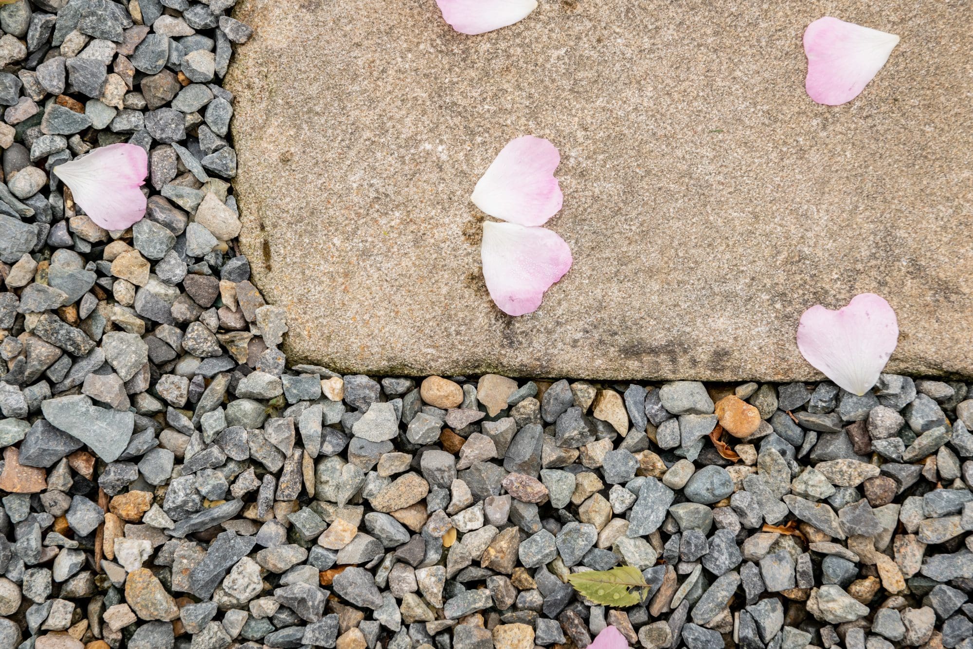 Renewing the Gravel Paths of a French Country Home