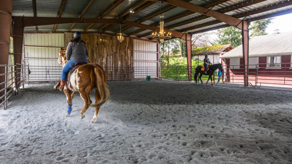 horses trot around a sandy gravel arena