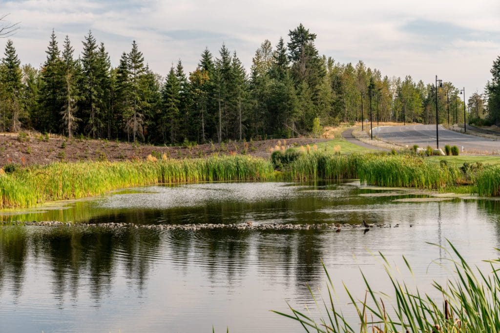 rock barrier in retention pond