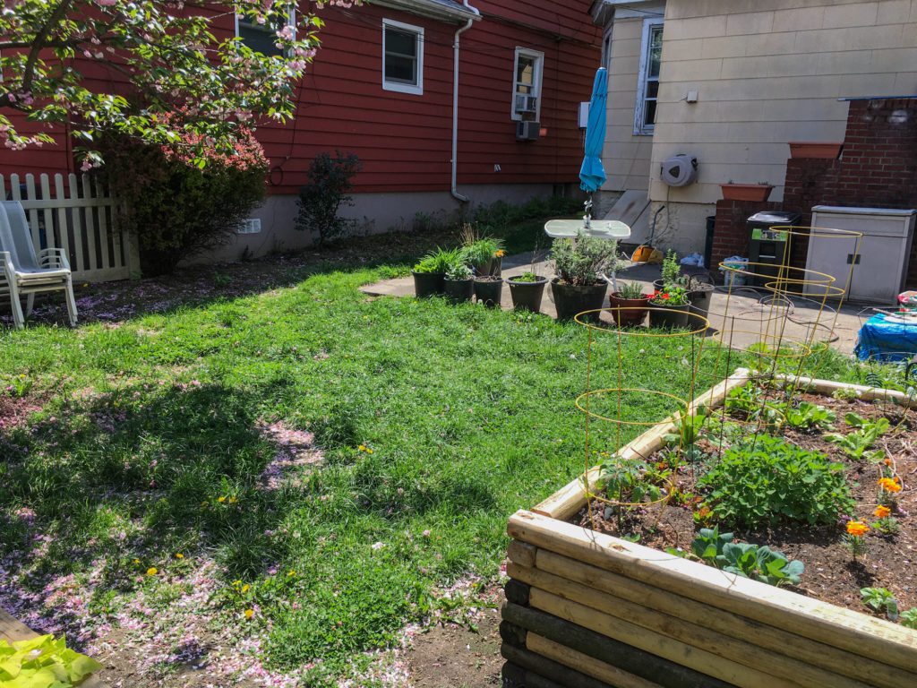 grass backyard with raised garden bed in foreground and patio in background