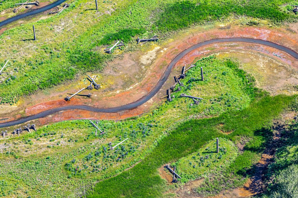 An aerial view of a creek winding through wetland. Snags (upright dead trees) and logs can be seen throughout the wetland area.