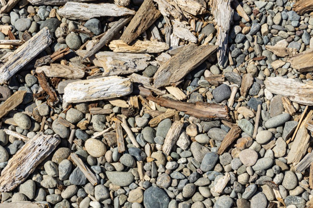 beach gravel and driftwood