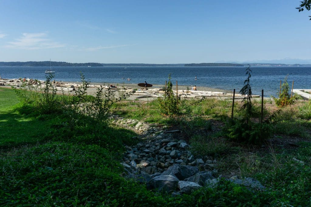 view of the beach from a shaded creek