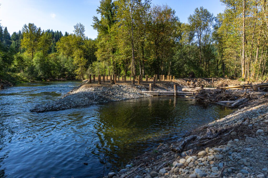 a stream channel flows away from a main river and through a narrow channel filled with manmade logs