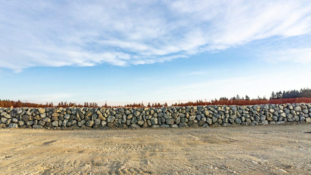 rock wall with Mt. Rainier in background