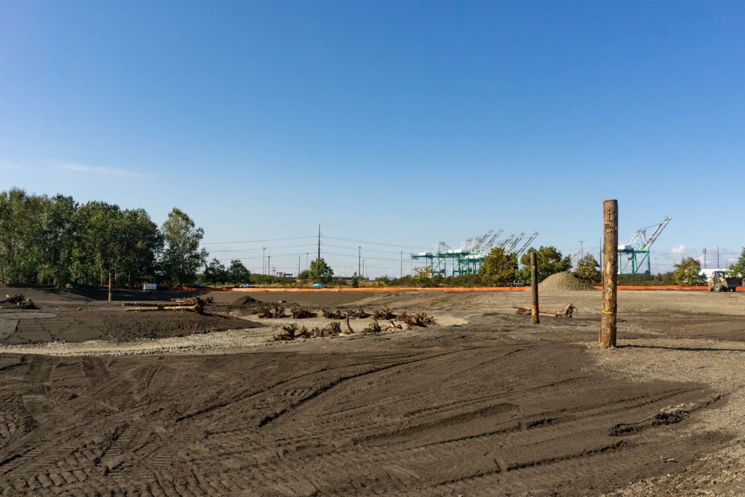 Bringing Back Lower Wapato Creek A Wetland Restoration Story