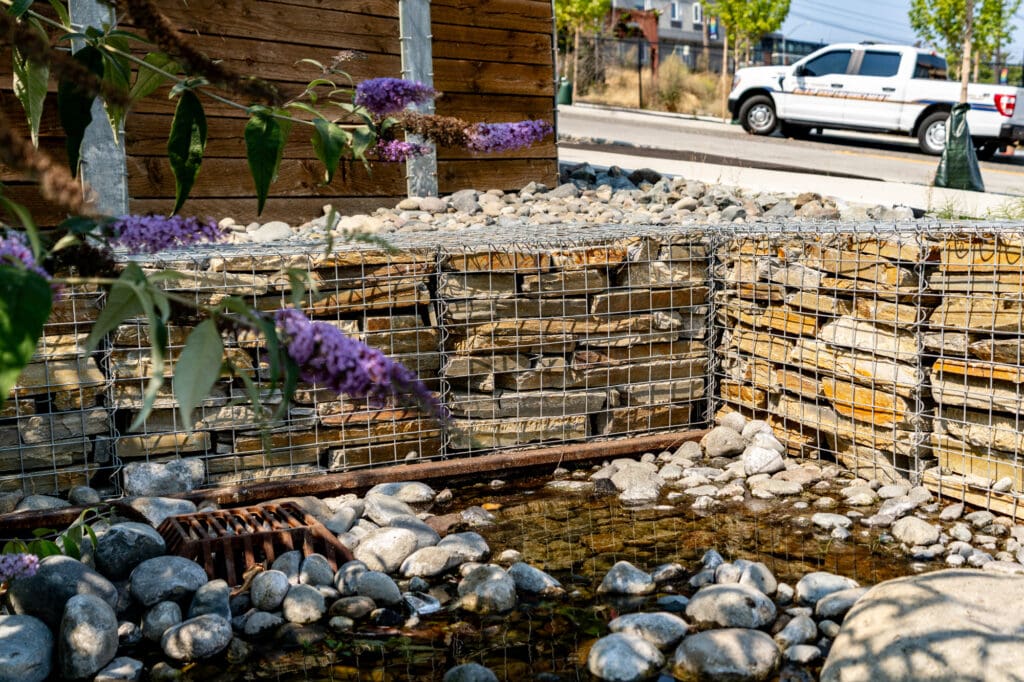 A low gabion wall surrounds a creek-like drainage area. Butterfly bush flowers jut into frame on the left side.