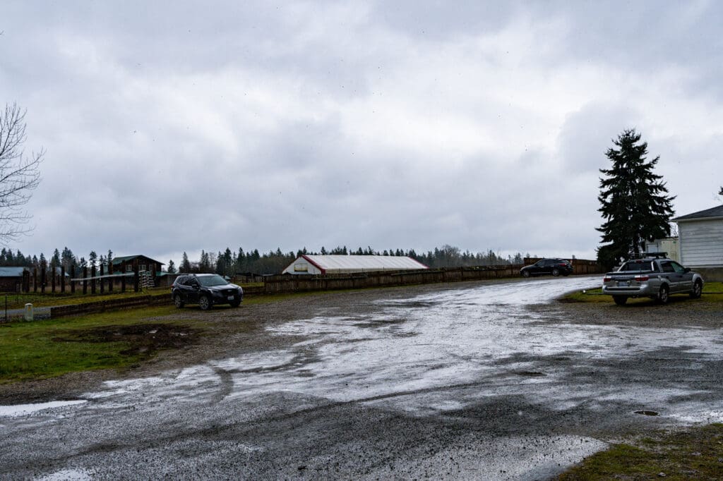 Light reflects off the slick surface of a scrappy gravel driveway. The scene is overcast. A white country-style building can be seen on the right side.