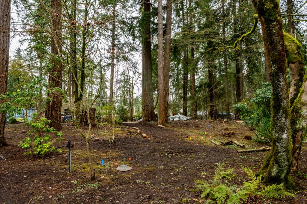 a muddy dirt path winds through a wooded area to a parking lot