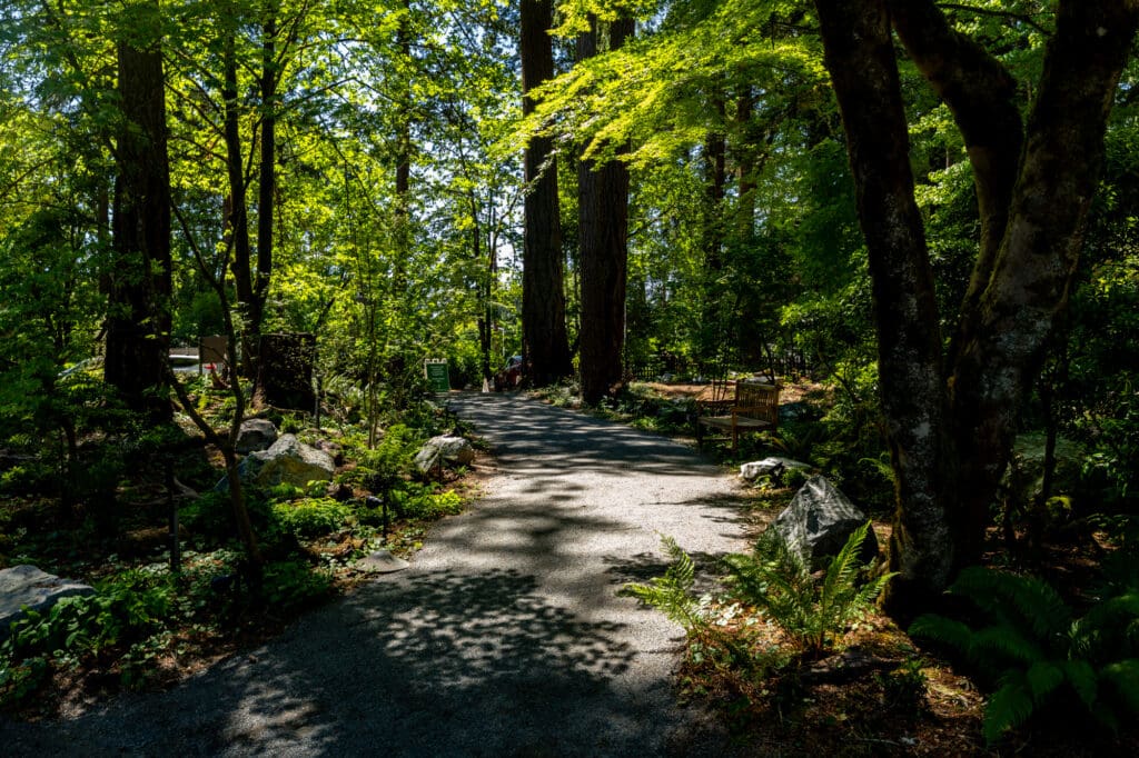 a heavily shaded woodland path ascends toward a parking lot